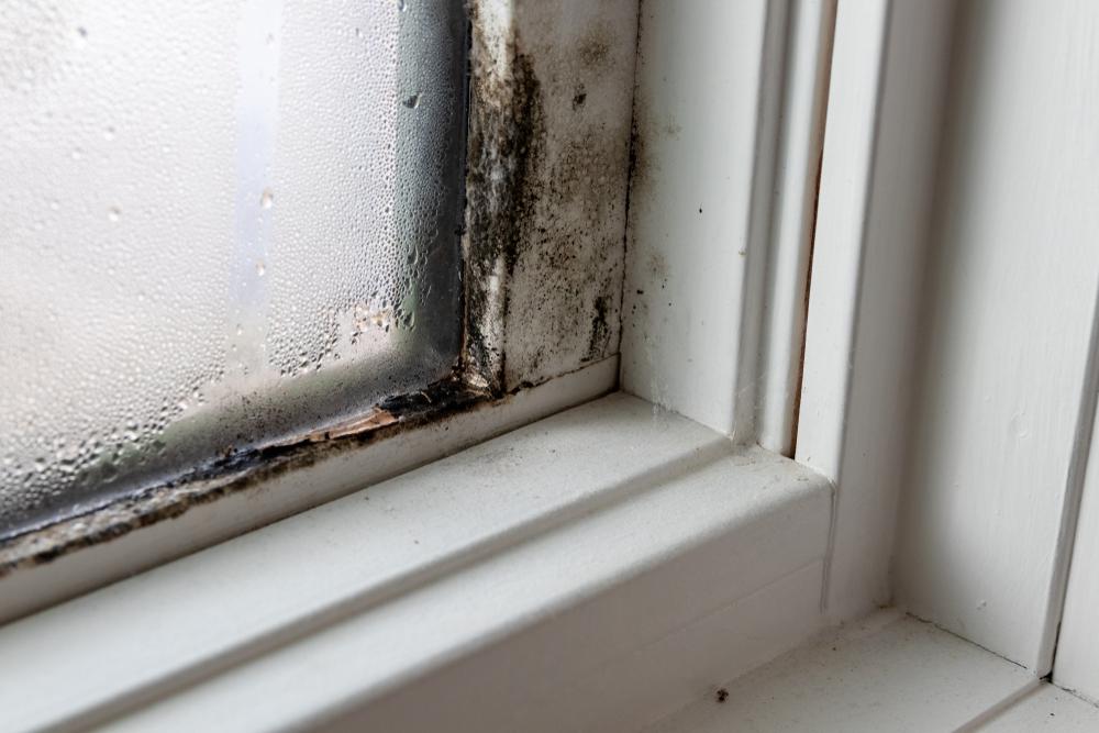 Commercial inspection support for Jacksonville business decisions